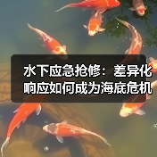 水下应急抢修:差异化响应如何成为海底危机制胜秘技?(图1) 水下应急抢修:差异化响应如何成为海底危机制胜秘技?(图1)