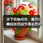 水下应急抢修:差异化响应如何成为海底危机制胜秘技?(图4) 水下应急抢修:差异化响应如何成为海底危机制胜秘技?(图4)