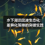 水下湖泊疏浚生态化：差异化策略的突破实践（图3）