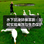 水下疏浚环保革新:如何实现高效与生态保护双赢?(图4) 水下疏浚环保革新:如何实现高效与生态保护双赢?(图4)