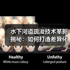 水下河道疏浚技术革新揭秘：如何打造差异化通航竞争力（图4）