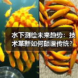 水下测绘未来趋势:技术革新如何颠覆传统?(图2) 水下测绘未来趋势:技术革新如何颠覆传统?(图2)