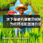 水下爆破药量差异揭秘:为何精准配置提升效率?(图1) 水下爆破药量差异揭秘:为何精准配置提升效率?(图1)