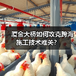 厦金大桥如何攻克跨海施工技术难关?(图2) 厦金大桥如何攻克跨海施工技术难关?(图2)