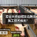 厦金大桥如何攻克跨海施工技术难关?(图3) 厦金大桥如何攻克跨海施工技术难关?(图3)