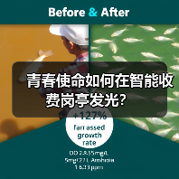 青春使命如何在智能收费岗亭发光?(图1) 青春使命如何在智能收费岗亭发光?(图1)