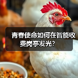 青春使命如何在智能收费岗亭发光?(图3) 青春使命如何在智能收费岗亭发光?(图3)