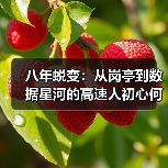 八年蜕变:从岗亭到数据星河的高速人初心何在?(图2) 八年蜕变:从岗亭到数据星河的高速人初心何在?(图2)