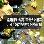渝湘复线高速全线通车，640亿投资如何重塑区域交通？（图4）