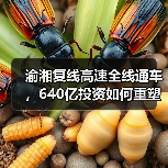 渝湘复线高速全线通车，640亿投资如何重塑区域交通？（图3）