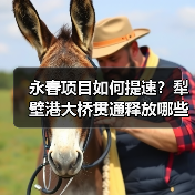 永春项目如何提速？犁壁港大桥贯通释放哪些信号？