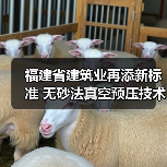 福建省建筑业再添新标准 无砂法真空预压技术规程成功立项