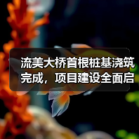 流美大桥首根桩基浇筑完成，项目建设全面启动