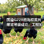 国道G228后海段首片箱梁吊装成功，工程加速驶入快车道