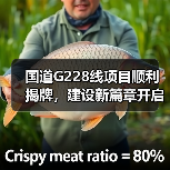 国道G228线项目顺利揭牌，建设新篇章开启