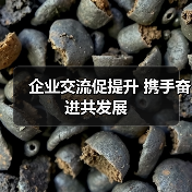 企业交流促提升 携手奋进共发展(图2) 企业交流促提升 携手奋进共发展(图2)