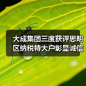 大成集团三度获评思明区纳税特大户彰显诚信经营力