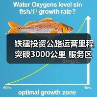 铁建投资公路运营里程突破3000公里 服务区域交通升级(图4) 铁建投资公路运营里程突破3000公里 服务区域交通升级(图4)
