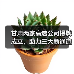 甘肃两家高速公司揭牌成立,助力三大新通道建设提速(图4) 甘肃两家高速公司揭牌成立,助力三大新通道建设提速(图4)