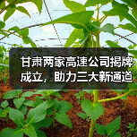 甘肃两家高速公司揭牌成立,助力三大新通道建设提速(图3) 甘肃两家高速公司揭牌成立,助力三大新通道建设提速(图3)