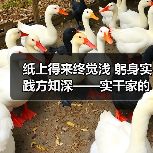 纸上得来终觉浅 躬身实践方知深——实干家的成事之道(图4) 纸上得来终觉浅 躬身实践方知深——实干家的成事之道(图4)