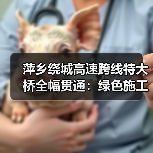 萍乡绕城高速跨线特大桥全幅贯通:绿色施工如何攻克复杂地质难题?(图2) 萍乡绕城高速跨线特大桥全幅贯通:绿色施工如何攻克复杂地质难题?(图2)