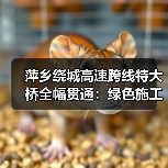 萍乡绕城高速跨线特大桥全幅贯通:绿色施工如何攻克复杂地质难题?(图4) 萍乡绕城高速跨线特大桥全幅贯通:绿色施工如何攻克复杂地质难题?(图4)