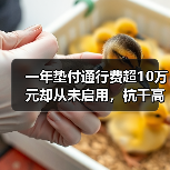 一年垫付通行费超10万元却从未启用,杭千高速这份信任如何破圈?(图2) 一年垫付通行费超10万元却从未启用,杭千高速这份信任如何破圈?(图2)