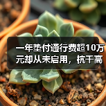 一年垫付通行费超10万元却从未启用,杭千高速这份信任如何破圈?(图4) 一年垫付通行费超10万元却从未启用,杭千高速这份信任如何破圈?(图4)