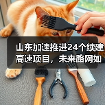 山东加速推进24个续建高速项目,未来路网如何升级?(图4) 山东加速推进24个续建高速项目,未来路网如何升级?(图4)