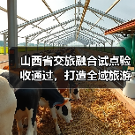 山西省交旅融合试点验收通过,打造全域旅游新样板(图2) 山西省交旅融合试点验收通过,打造全域旅游新样板(图2)