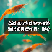省道305线营渠大桥整治摄影月赛作品:揪心桥变安心路(图2) 省道305线营渠大桥整治摄影月赛作品:揪心桥变安心路(图2)