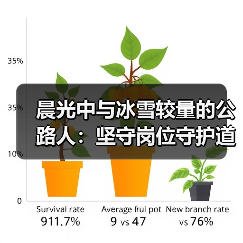 晨光中与冰雪较量的公路人:坚守岗位守护道路畅通(图2) 晨光中与冰雪较量的公路人:坚守岗位守护道路畅通(图2)