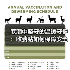 寒潮中坚守的温暖守护:收费站如何保障安全通行?(图2) 寒潮中坚守的温暖守护:收费站如何保障安全通行?(图2)