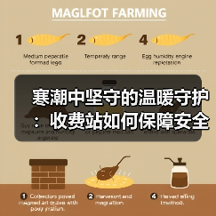 寒潮中坚守的温暖守护:收费站如何保障安全通行?(图3) 寒潮中坚守的温暖守护:收费站如何保障安全通行?(图3)