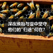 深夜换胎与雪中坚守,他们的 深夜换胎与雪中坚守,他们的