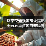 辽宁交通强国建设提速 十五五重点项目秦沈高速二期开工