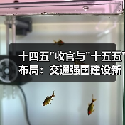 十四五 十四五