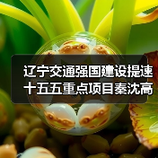 辽宁交通强国建设提速 十五五重点项目秦沈高速二期开工(图3) 辽宁交通强国建设提速 十五五重点项目秦沈高速二期开工(图3)