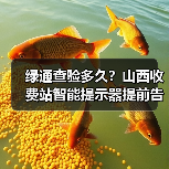 绿通查验多久?山西收费站智能提示器提前告知(图2) 绿通查验多久?山西收费站智能提示器提前告知(图2)