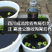 四川成渝跨省布局引关注 高速公路收购背后有何战略意图?(图3) 四川成渝跨省布局引关注 高速公路收购背后有何战略意图?(图3)