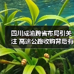 四川成渝跨省布局引关注 高速公路收购背后有何战略意图?(图4) 四川成渝跨省布局引关注 高速公路收购背后有何战略意图?(图4)