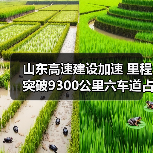 山东高速建设加速 里程突破9300公里六车道占比超40%(图2) 山东高速建设加速 里程突破9300公里六车道占比超40%(图2)