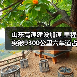 山东高速建设加速 里程突破9300公里六车道占比超40%(图3) 山东高速建设加速 里程突破9300公里六车道占比超40%(图3)