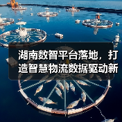 湖南数智平台落地,打造智慧物流数据驱动新标杆(图2) 湖南数智平台落地,打造智慧物流数据驱动新标杆(图2)