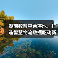 湖南数智平台落地,打造智慧物流数据驱动新标杆(图3) 湖南数智平台落地,打造智慧物流数据驱动新标杆(图3)