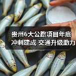 贵州6大公路项目年底冲刺建成 交通升级助力建设(图2) 贵州6大公路项目年底冲刺建成 交通升级助力建设(图2)