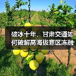破冰十年,甘肃交通如何破解高海拔寒区冻融难题?(图4) 破冰十年,甘肃交通如何破解高海拔寒区冻融难题?(图4)