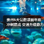 贵州6大公路项目年底冲刺建成 交通升级助力建设(图4) 贵州6大公路项目年底冲刺建成 交通升级助力建设(图4)