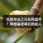 丝路友谊之花如何盛开?异国基建背后的动人故事(图2) 丝路友谊之花如何盛开?异国基建背后的动人故事(图2)